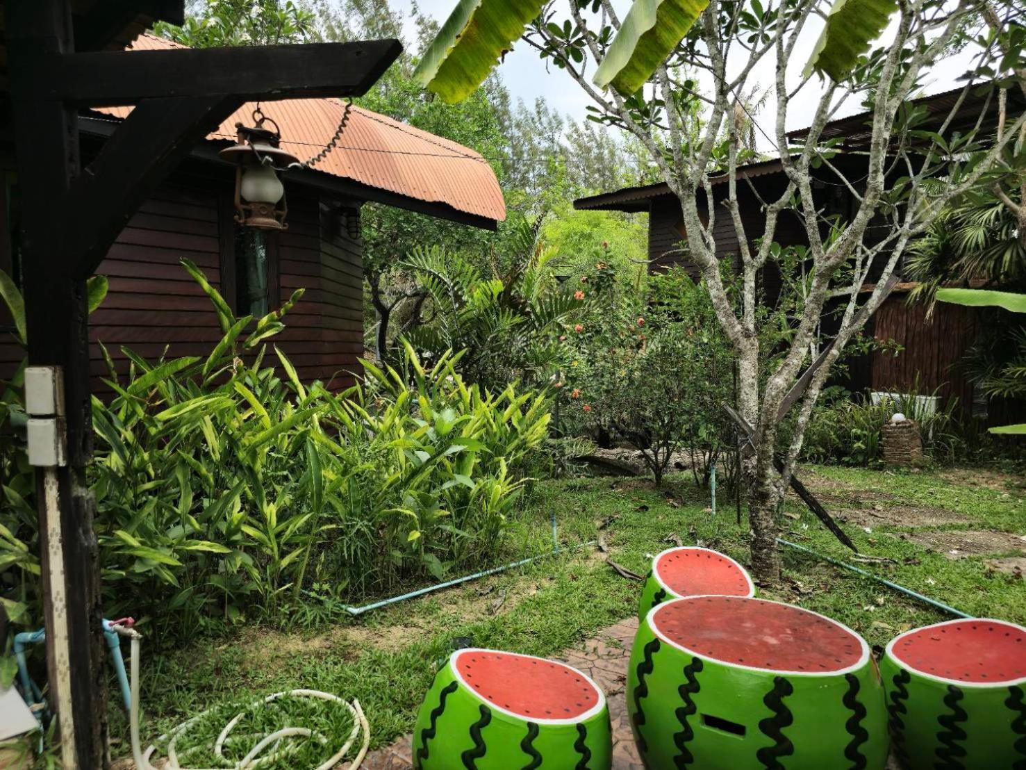 Kaengkrachan Boathouse Paradise Resort Kaeng Kachan Pokój zdjęcie